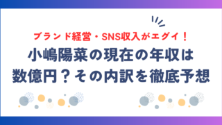 小嶋陽菜の現在の年収は数億円？芸能活動・ブランド経営・SNS収入の内訳を徹底予想！
