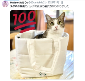 スタバ福袋